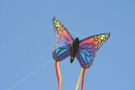 Butterfly R2F  - Rainbow - Spiderkites