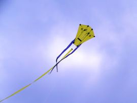 H-Kite R2f Yellow