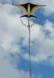 Sky Explorer R2F Yellow