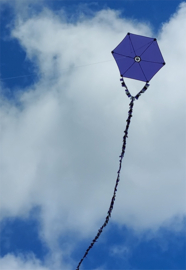 Six Cross Kite R2F - Purple