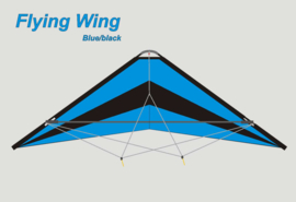 Flying Wing  R2F  (Blue/Black)