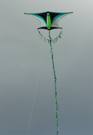 Sky Explorer R2F Green