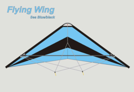 Flying Wing  R2F  (Sea Blue/Black)