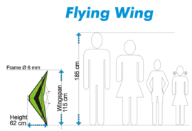 Flying Wing  R2F  (Green/Black)