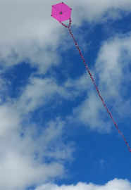 Six Cross Kite R2F - Pink