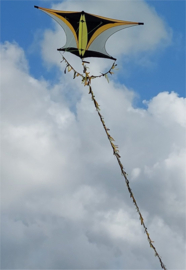 Sky Explorer R2F Yellow