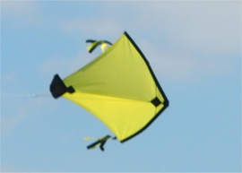 Fight Kite India R2F - Yellow
