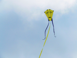 H-Kite R2f Yellow