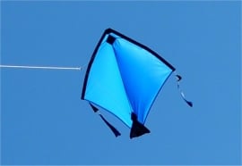 Fight Kite India R2F - Dark blue