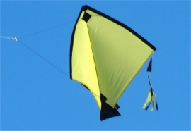 Fight Kite India R2F - Yellow
