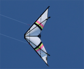 Night Kite - White / R2F + Polsbanden