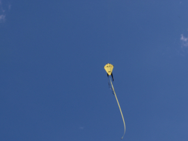 H-Kite R2f Yellow