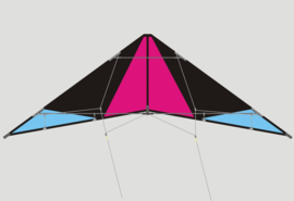 Warrior R2F Pink/black/blue