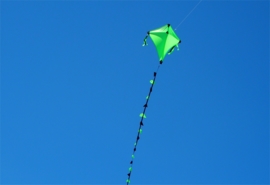 My Kite R2F - Green