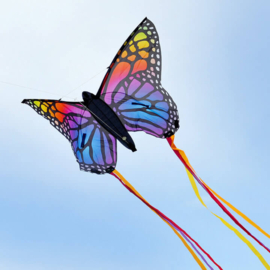 Butterfly R2F  - Rainbow - Spiderkites