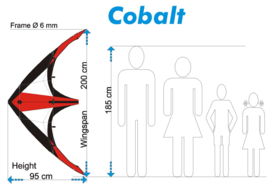 Cobalt - Black/white/red / R2F