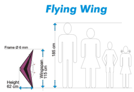 Flying Wing  R2F  (Purple/Black)