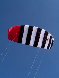 Zebra Z1 3.4 Kite only