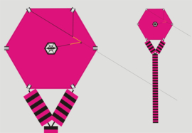 Six Cross Kite R2F - Pink