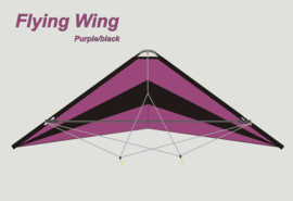 Flying Wing  R2F  (Purple/Black)