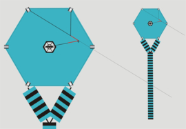 Six Cross  Kite R2F - Sea Blue
