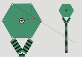 Six Cross Kite R2F - Green