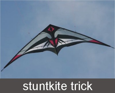 Dual Line Stunt Kite With Power Control Bar Perfect For Adults And