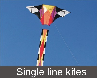 Single line kites