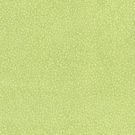 Quilters Basics - Stof A/S 4513-819