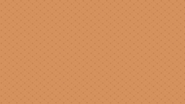 Bijoux basic Andover - Pyramid Sweet Patato 8704O