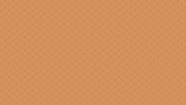 Bijoux basic Andover - Pyramid Sweet Patato 8704O