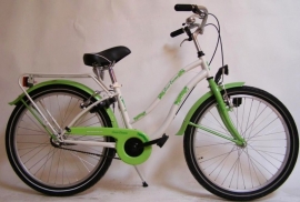 BIKE FUN KIDS CRAZY CRUISER GIRLS 20 INCH WIT/GROEN