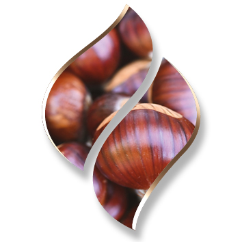 2,5 ltr. - Chestnut (Kastanje) - Opgietconcentraat / EXTRA GECONCENTREERD
