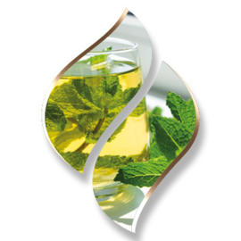 1 ltr. - Mint tea (Muntthee) - Opgietconcentraat / EXTRA GECONCENTREERD
