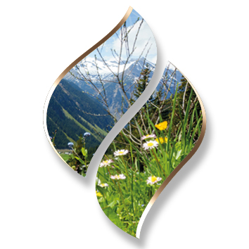 2,5 ltr. - Alpine Herbs (Alphenkruiden) - Opgietconcentraat / EXTRA GECONCENTREERD