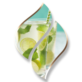 1 ltr. - Mojito - Opgietconcentraat / EXTRA GECONCENTREERD