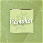 20ml - Camphor (kamfer) - met doseer pipet - etherische olie