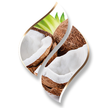2,5 ltr. - Cocos - Opgietconcentraat / EXTRA GECONCENTREERD