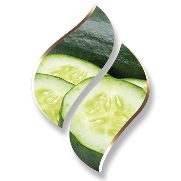 2,5 ltr. - Cumcumber (Komkommer) - Opgietconcentraat / EXTRA GECONCENTREERD