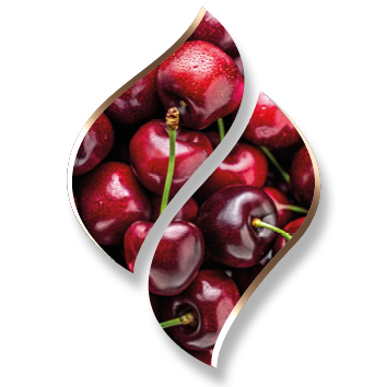 2,5 ltr. - Cherry (Kersen) - Opgietconcentraat / EXTRA GECONCENTREERD