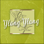 100 ml ylang ylang