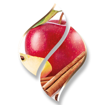 2,5 ltr. - Apple Cinnamon (Appel Kaneel) - Opgietconcentraat / EXTRA GECONCENTREERD