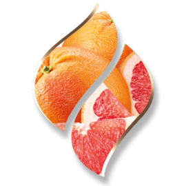 1 ltr. - Grapefruit - opgietconcentraat / EXTRA GECONCENTREERD