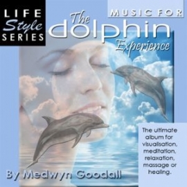 The Dolphin Expierence