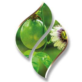 1 ltr. - Passionfruit (Passievrucht) - opgietconcentraat / EXTRA GECONCENTREERD