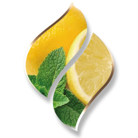 1 ltr. - Lemon mint (Citroen Mint) -  Opgietconcentraat / EXTRA GECONCENTREERD
