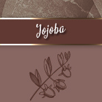 100 ml - Jojoba Massage oil - met Klepdop