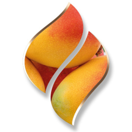 1 ltr. Mango voor verstuiver