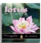 Lotus morning