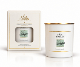 250 ML - Scented candle - Eucalyptus
